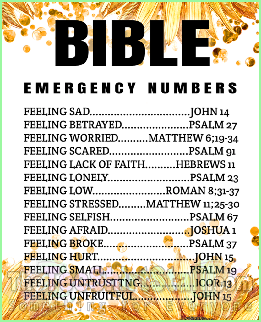 Emergency Bible Numbers Mug