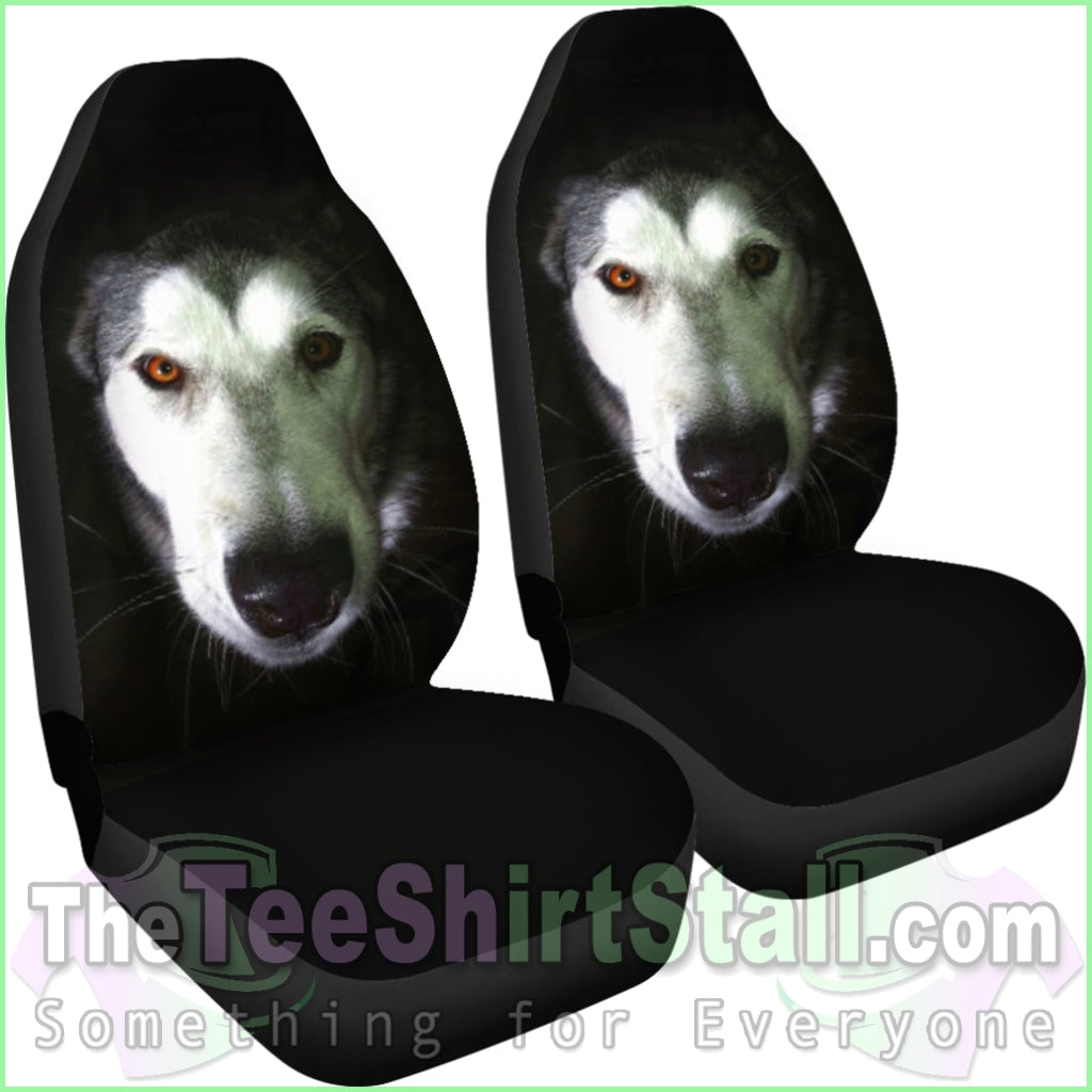 Stunning Alaskan Malamute Car Seat Covers